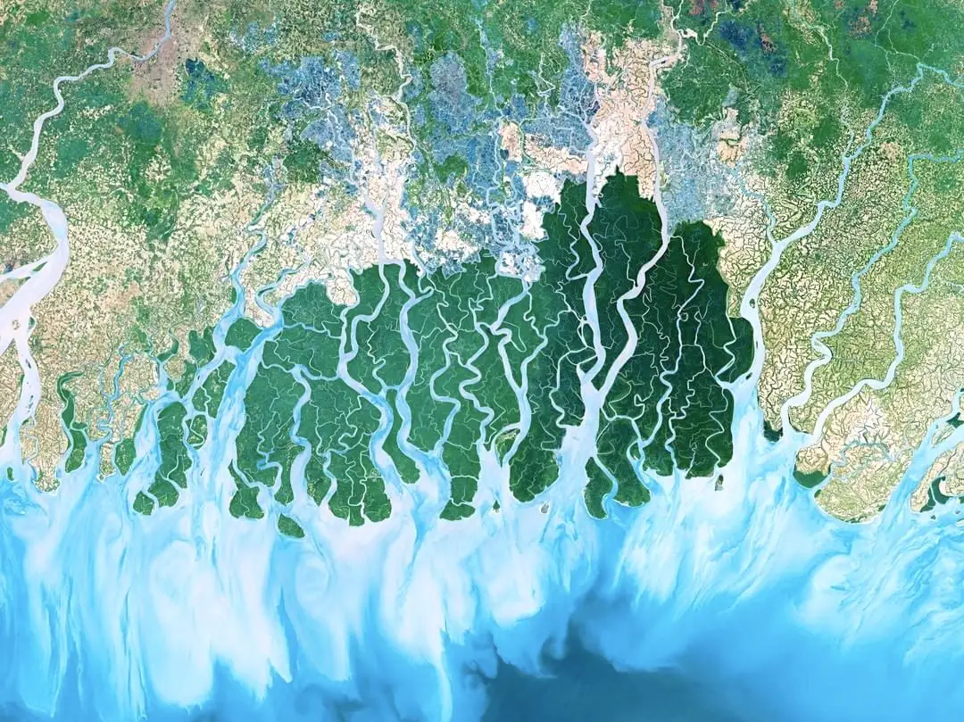 TCS Bengal Silicon Valley