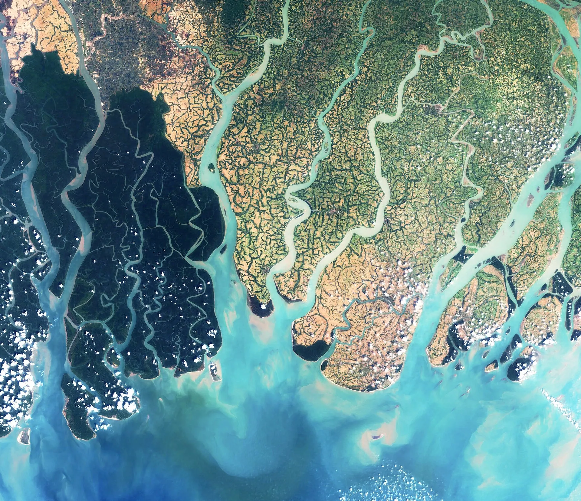 Latest news image for "World’s First AI-Based Sundarbans Museum to Come Up in Bengal’s Gosaba"
