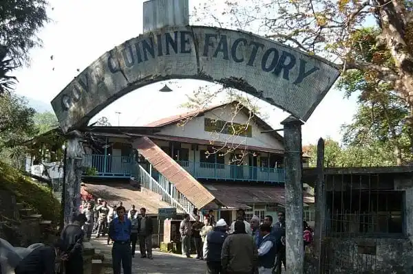 Latest news image for "Bengal Plans Revival of 150-Year-Old Quinine Factory in Darjeeling"