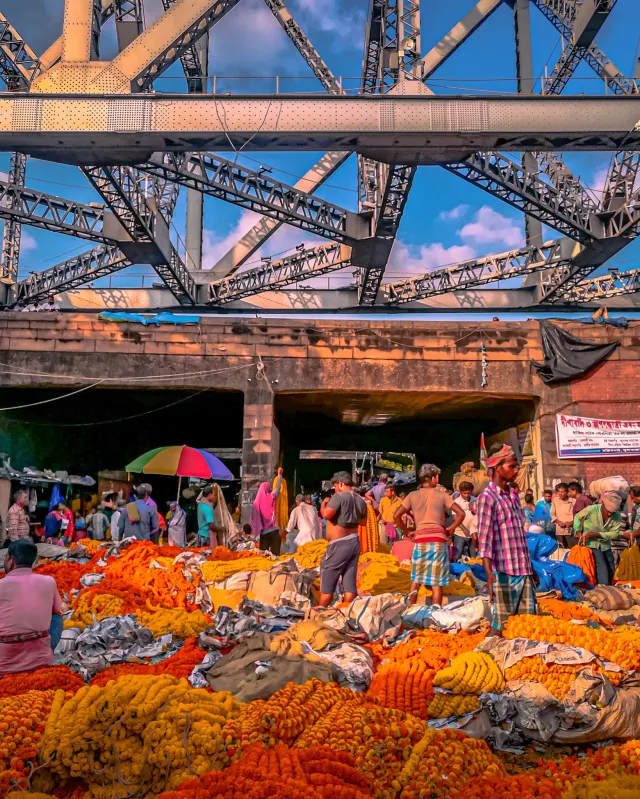 Latest news image for "Bengal to Revamp Asia's Largest Flower Market into a World-Class Floral Trading Hub"